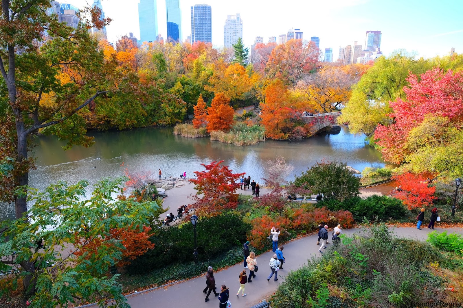 Central Park Fall Wallpaper WallpaperSafari