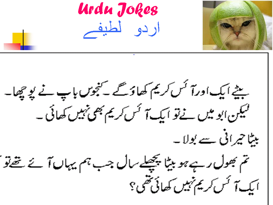 Jokes Wallpaper in Urdu - WallpaperSafari