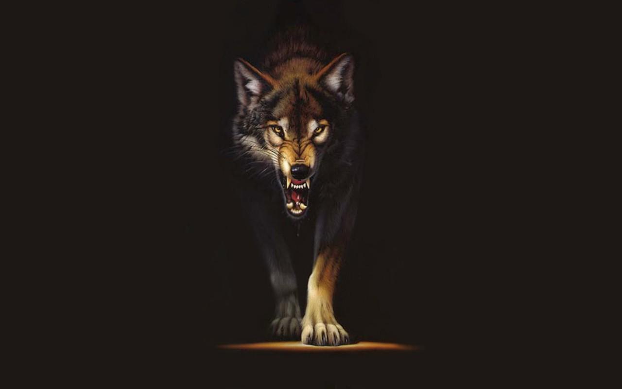 Wolf Wallpaper For Desktop