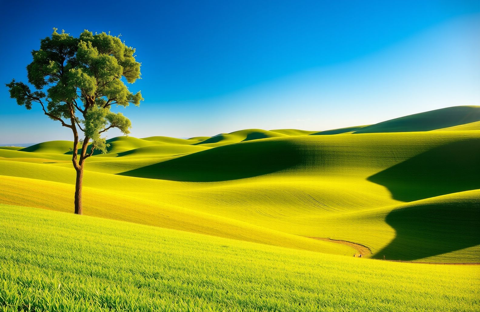 Acer Windows Wallpaper