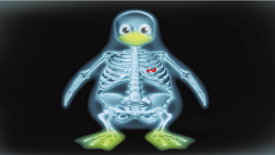 Animated Penguin Bones iPhone Wallpaper
