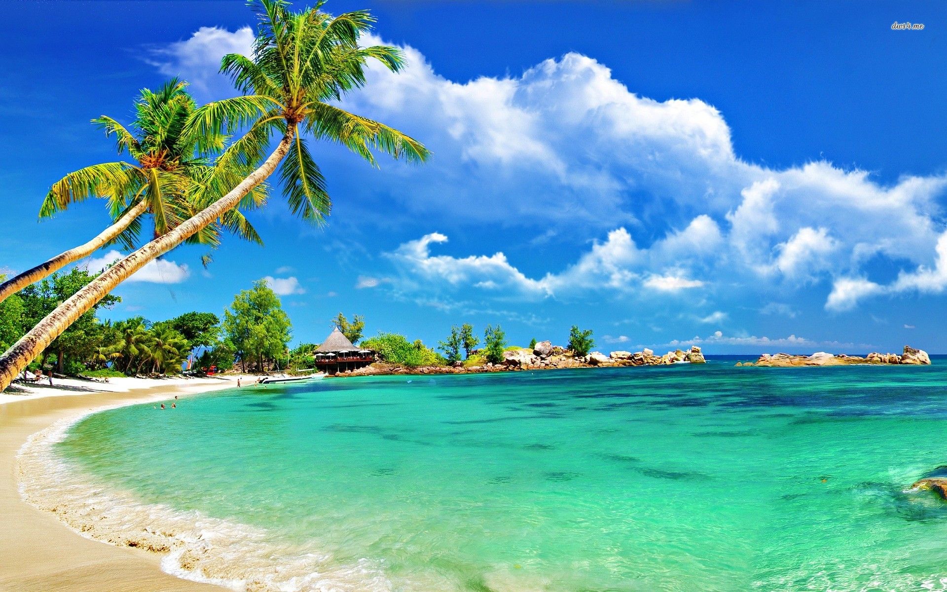 Tropical Beach Wallpaper Desktop HD Full Screen