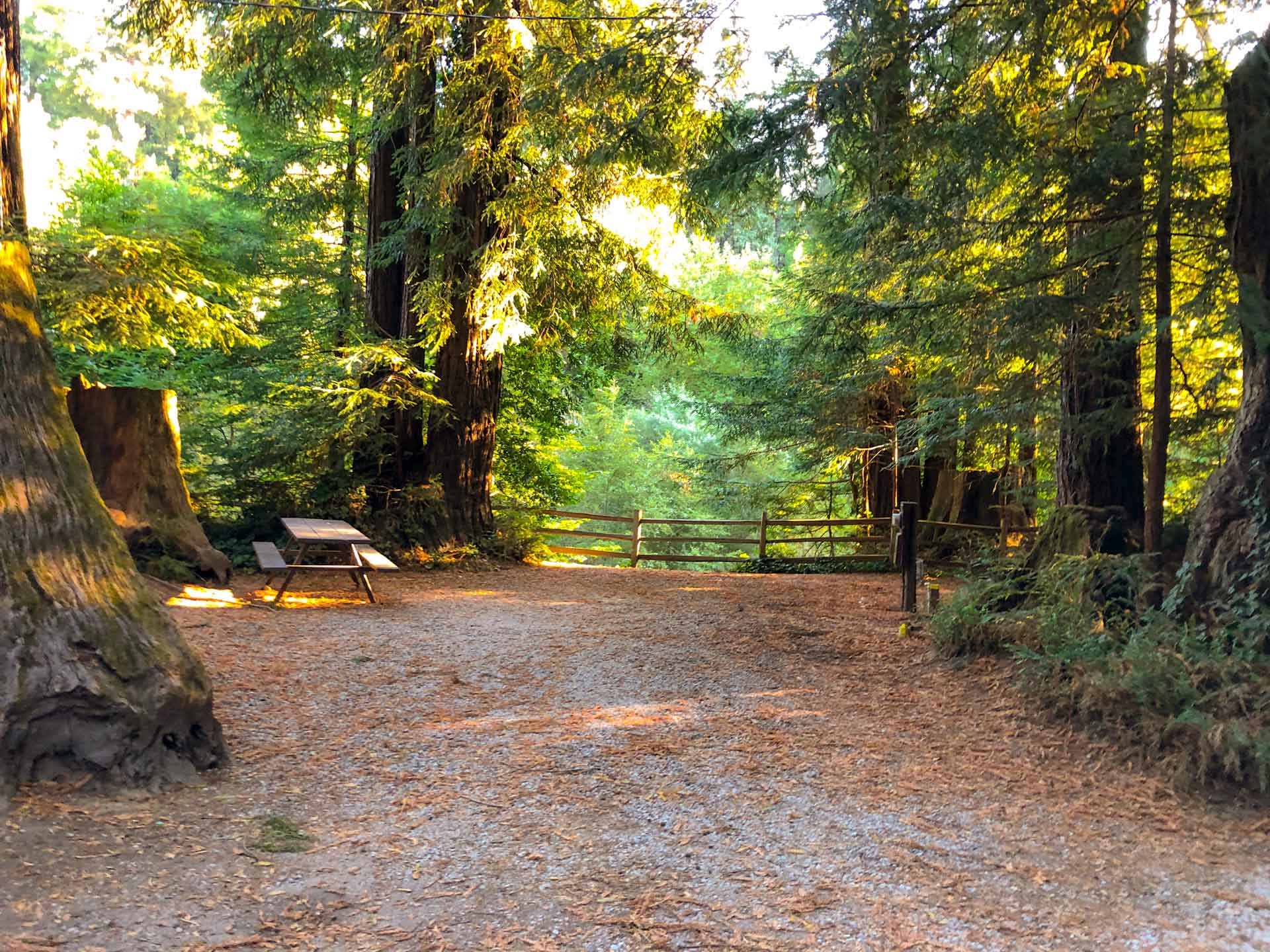 Santa Cruz Redwoods Rv Resort Roadside Secrets