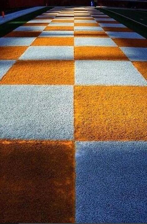 End Zone Butch Jones