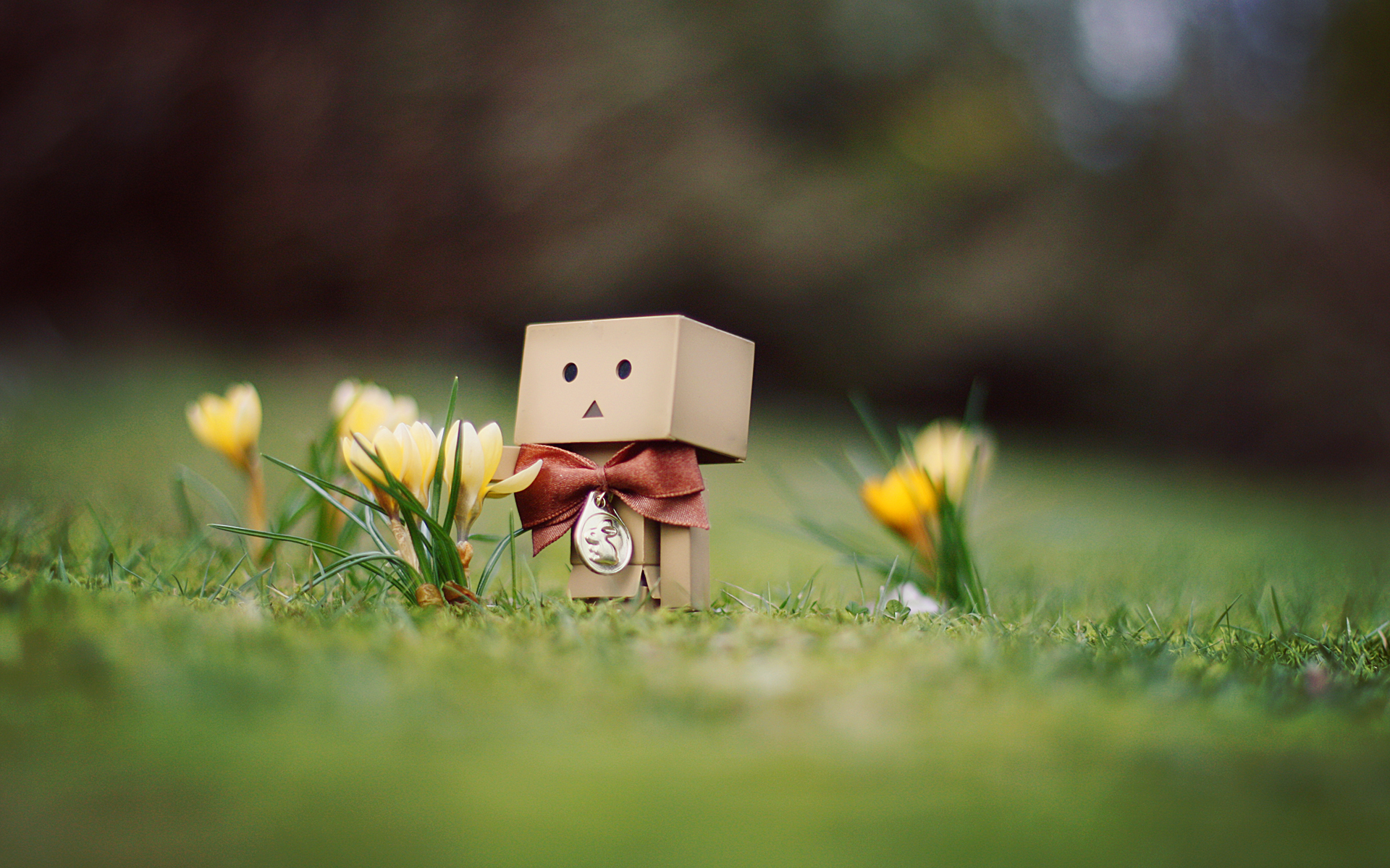Danbo Toy HD Wallpaper 3d Abstract