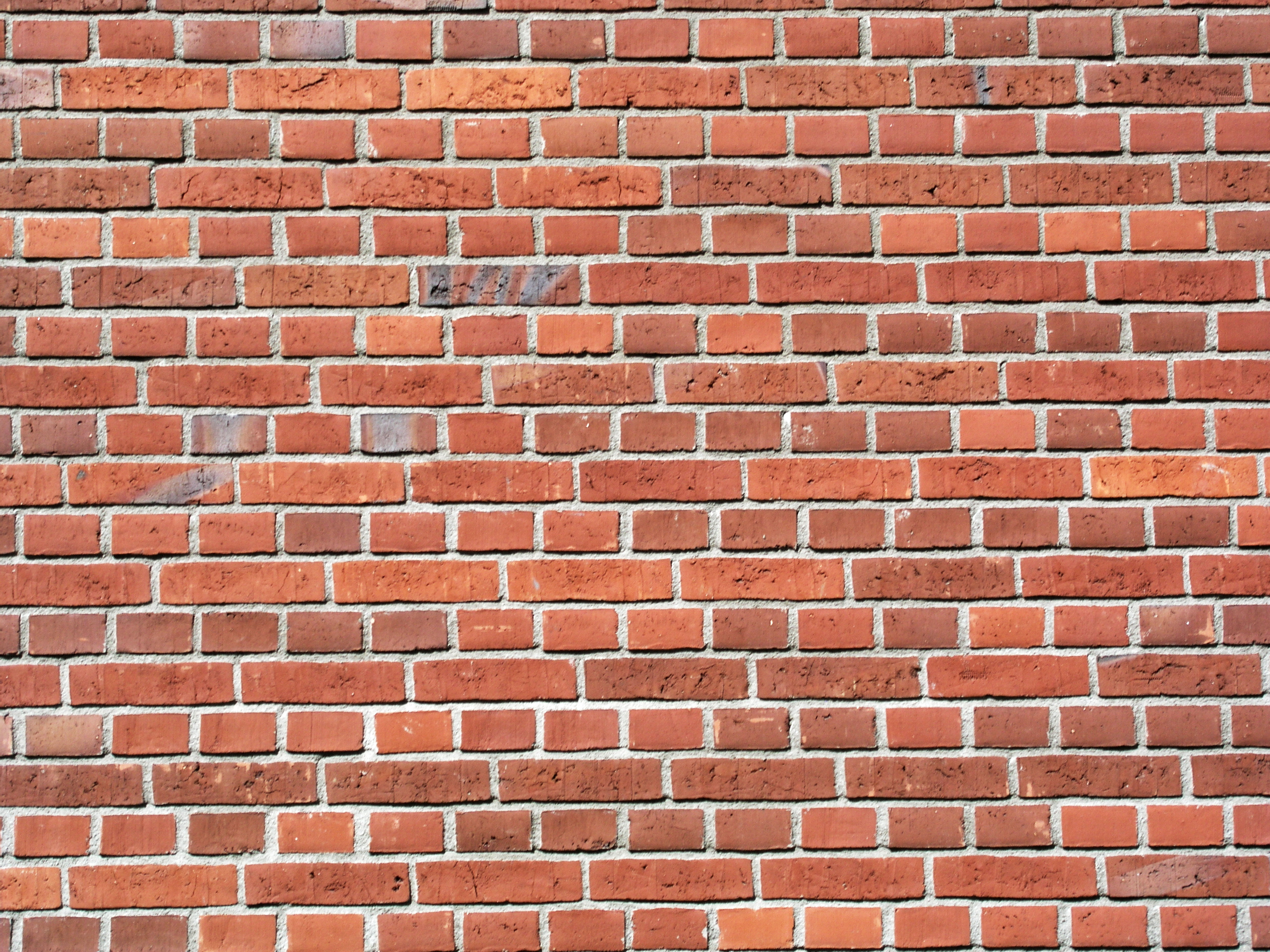 Free Download Push New Android Wallpaper To Your Android Device With 