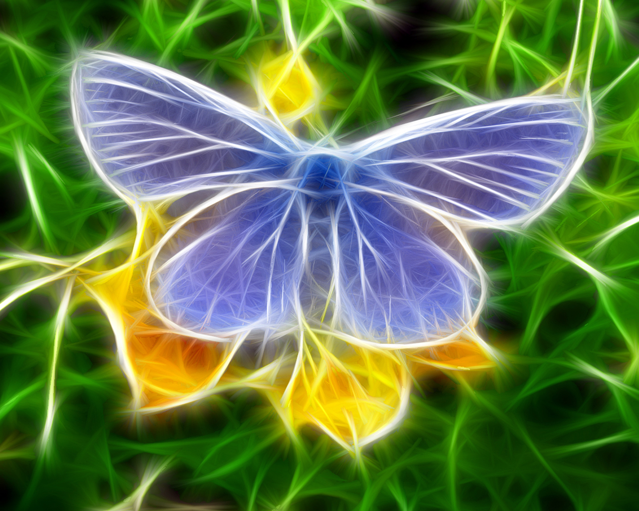 Neon Butterfly Wallpaper HD Jpg