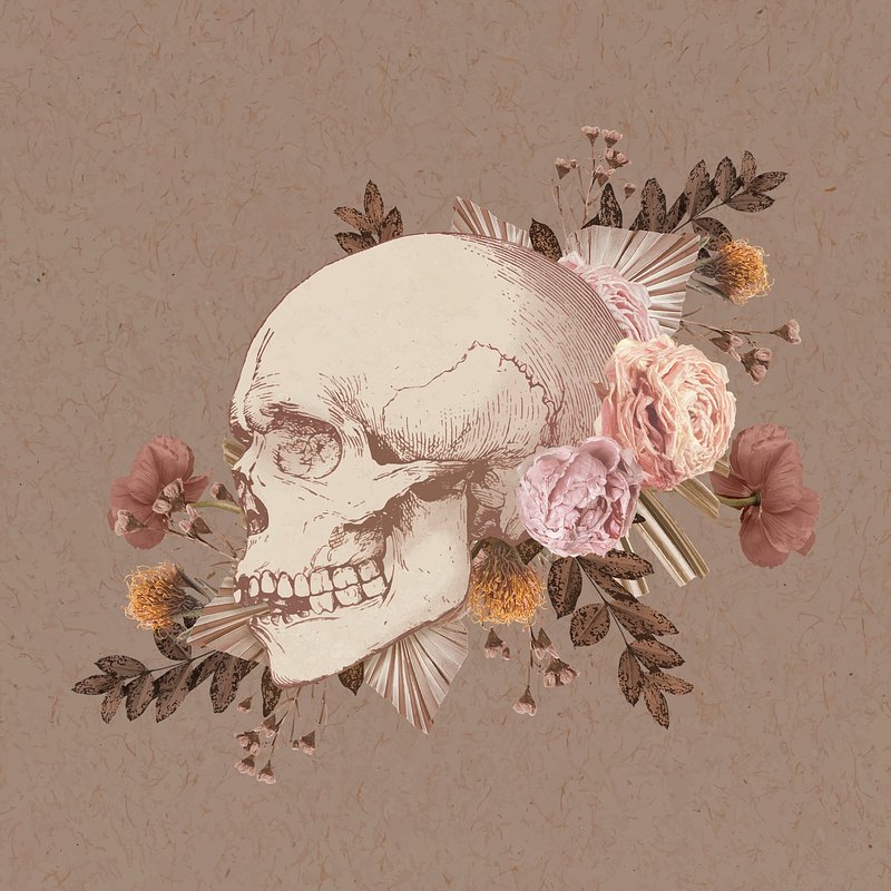 Aesthetic Sticker Image Wallpaper