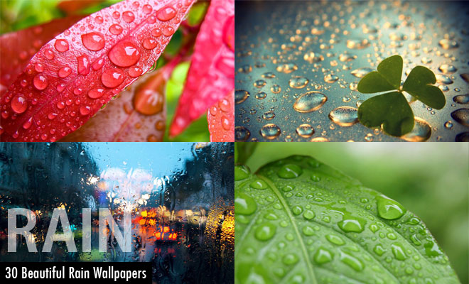 Wallpaper Beautiful Rain Themed For Your Desktop By