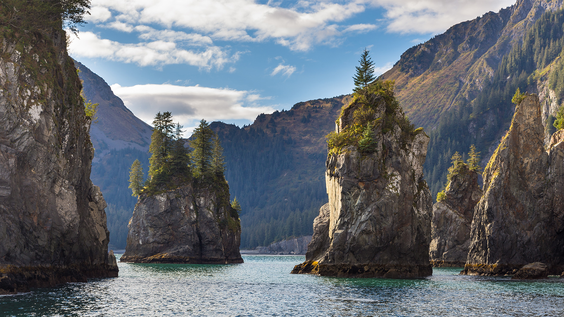 America S National Parks Kenai Fjords Park Alaska