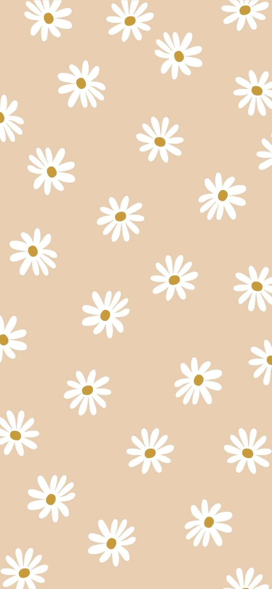 Beige Aesthetic Phone With Daisy Flowers Wallpaper