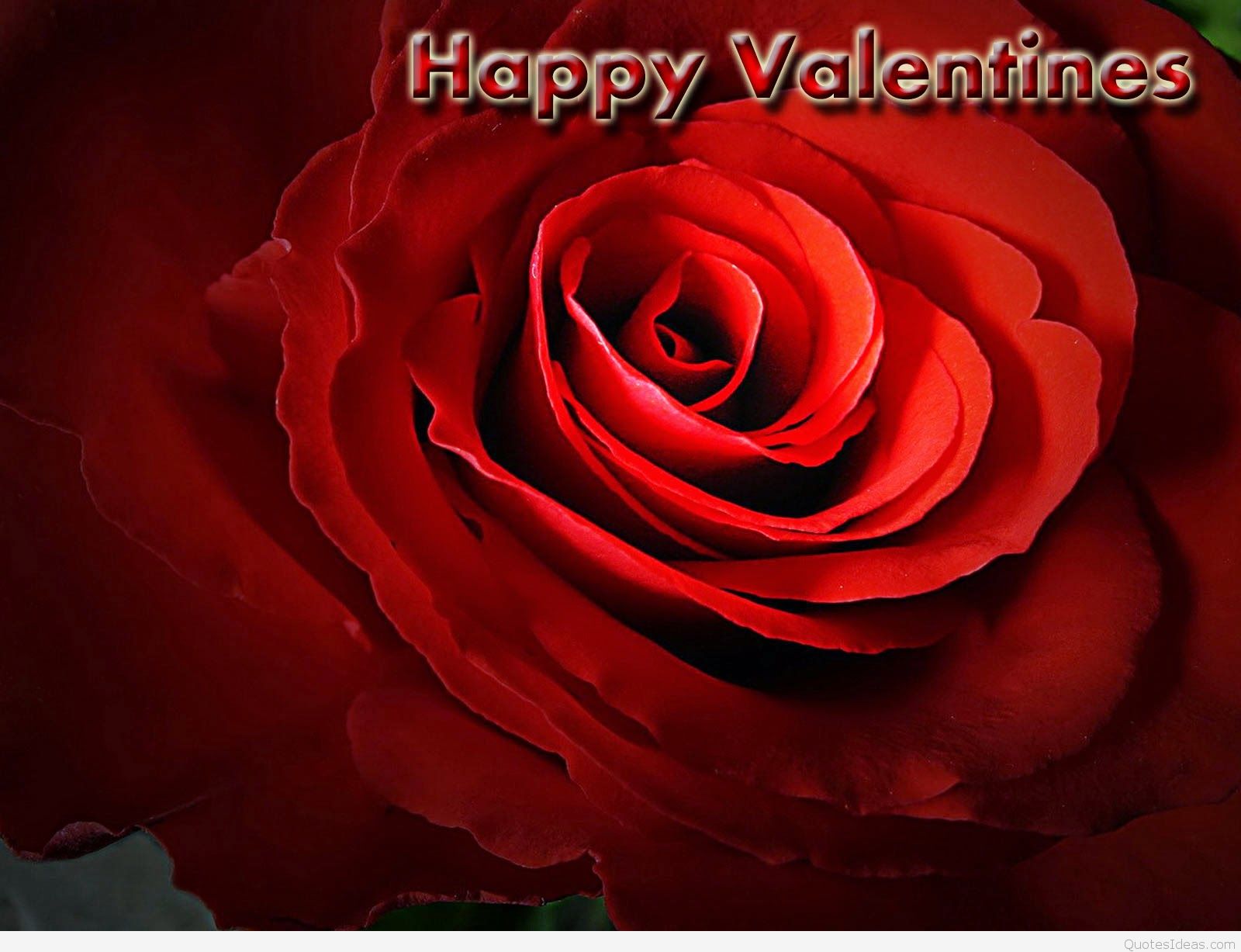 Best Happy Valentine S Day Pics Image Sayings