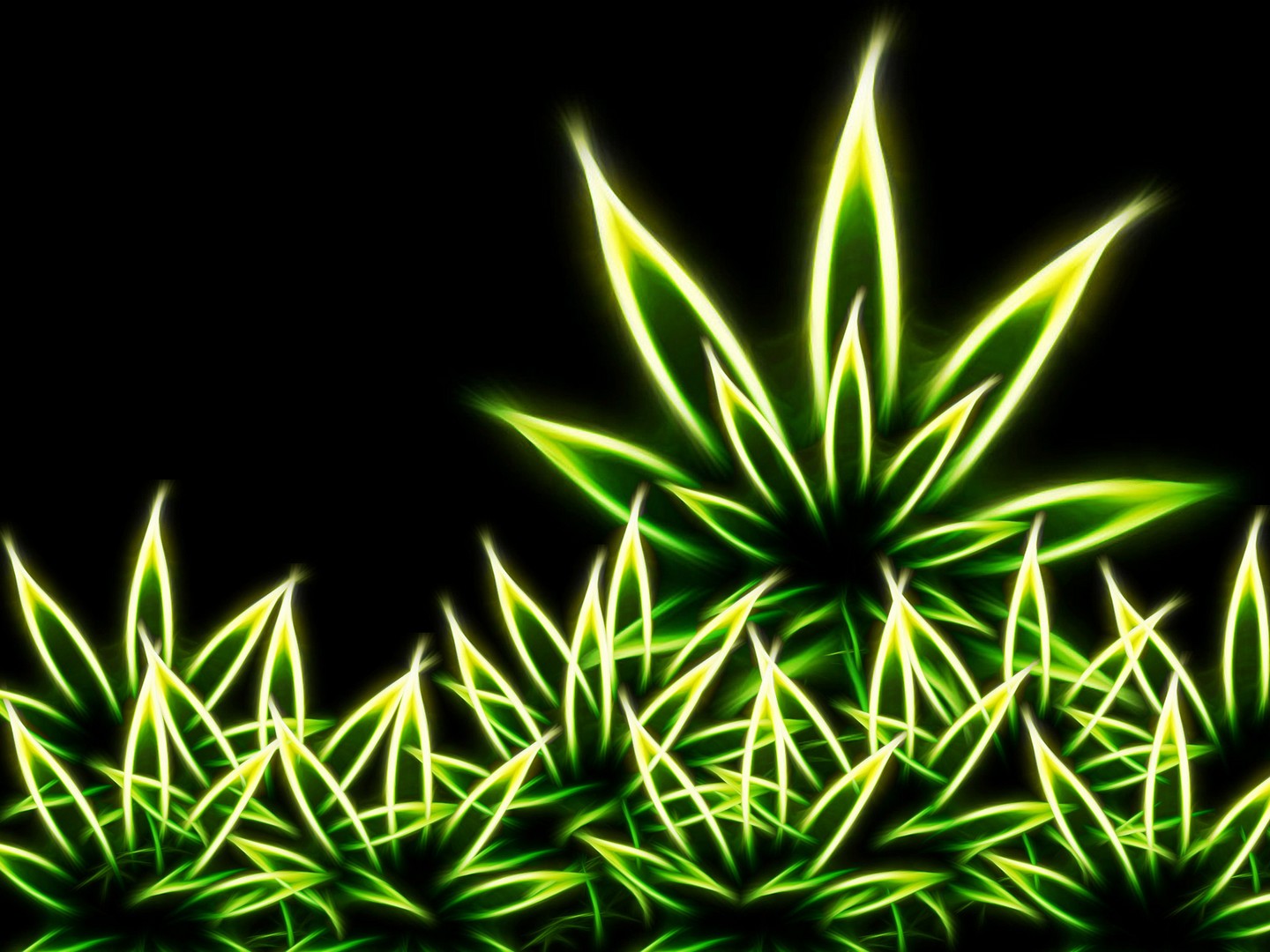 Weed Wallpaper HD Photo Collection