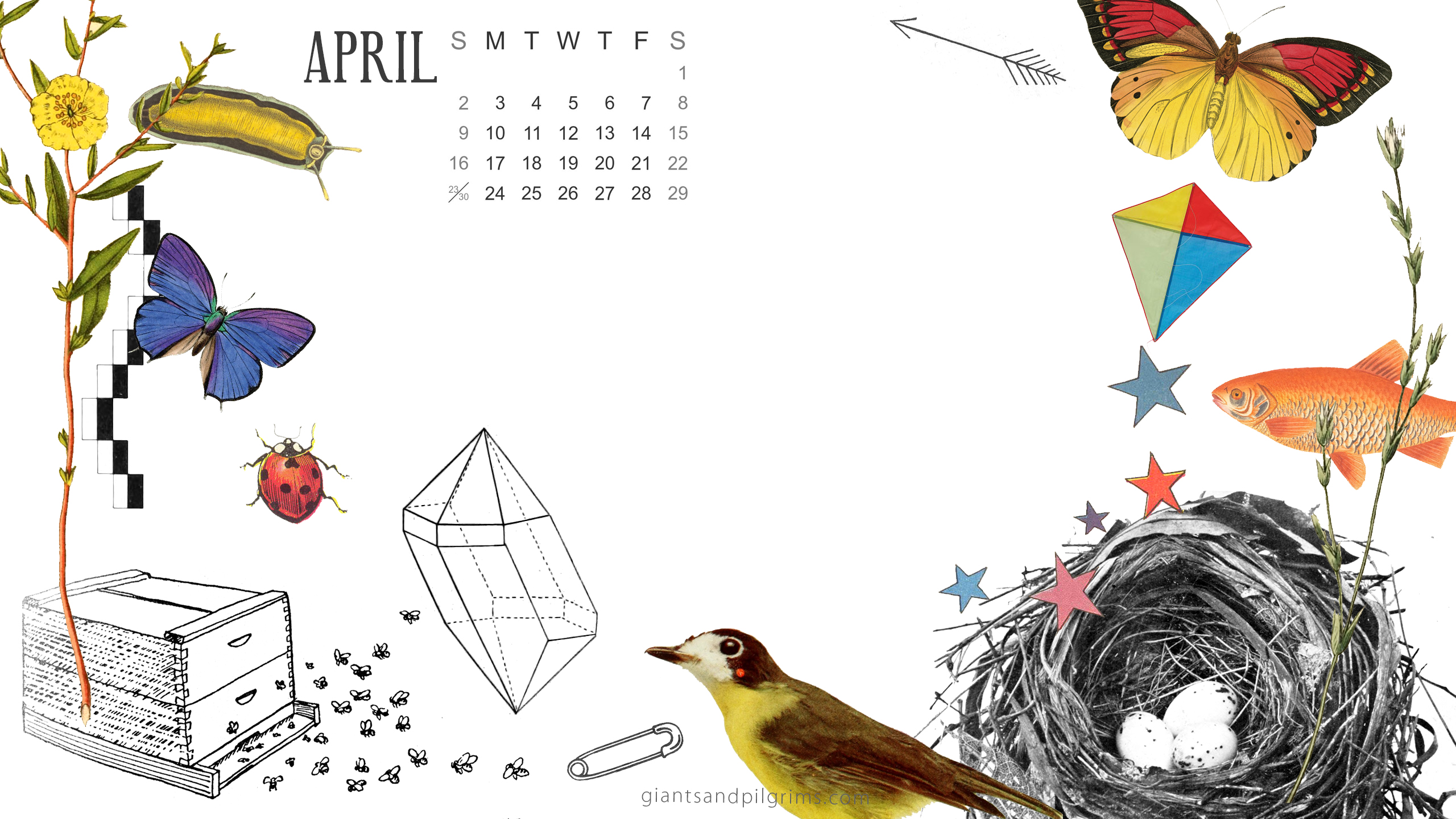 April Calendar Desktop And iPhone Wallpaper Giants Pilgrims