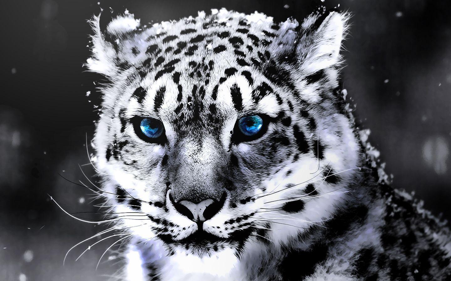 White Tigers Wallpapers 1440x900