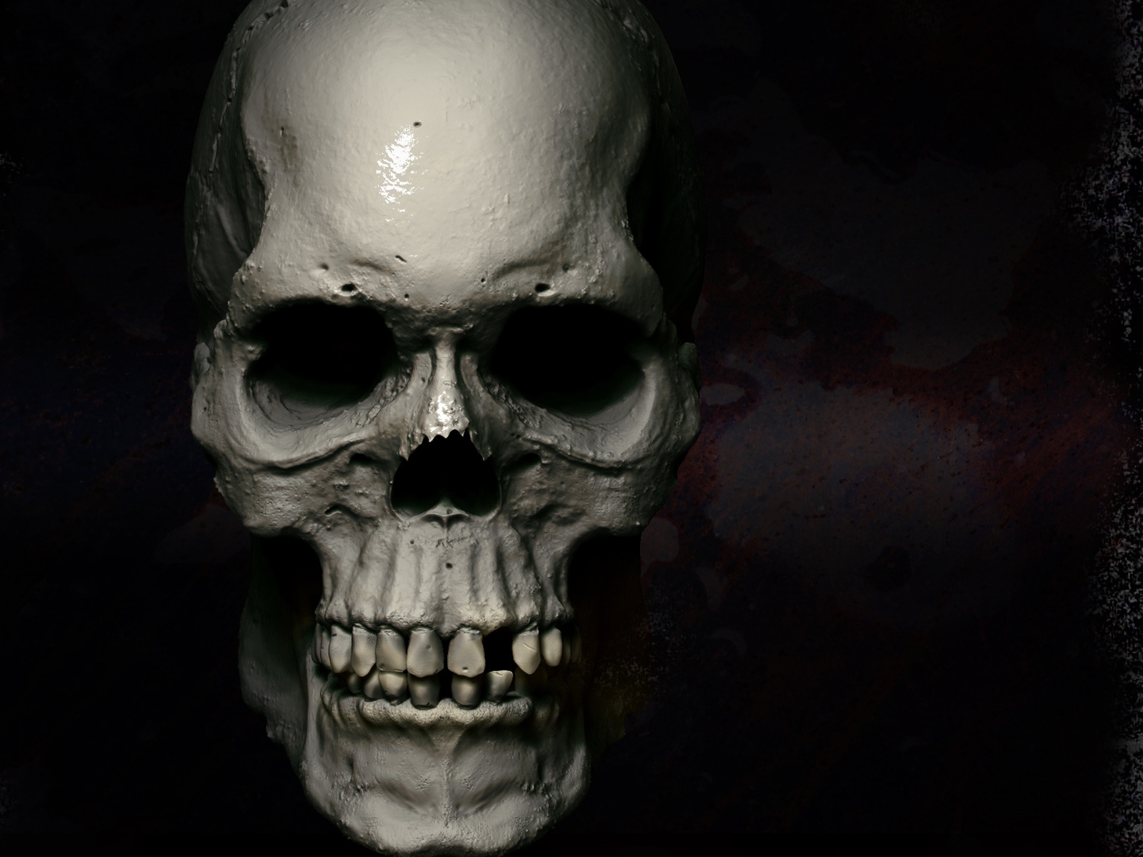 Skull Puter Wallpaper Desktop Background