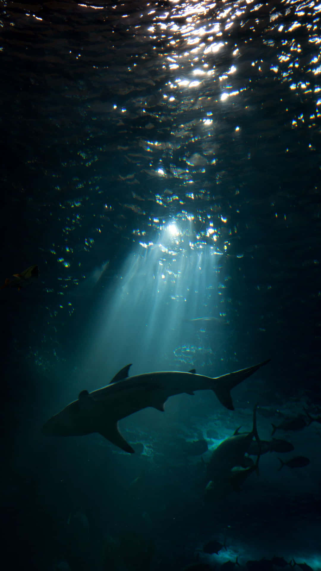 Unlock The Power To See And Capture Your World With Wallpaper