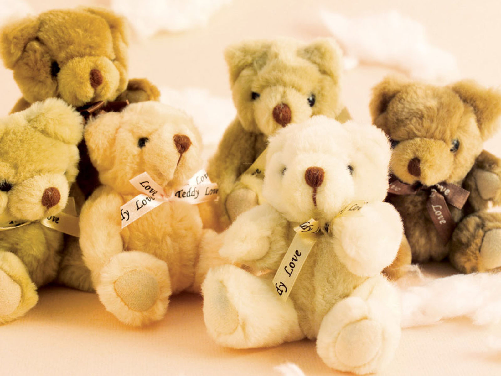 Free download wallpapers Teddy Bear Wallpapers [1600x1200] for your