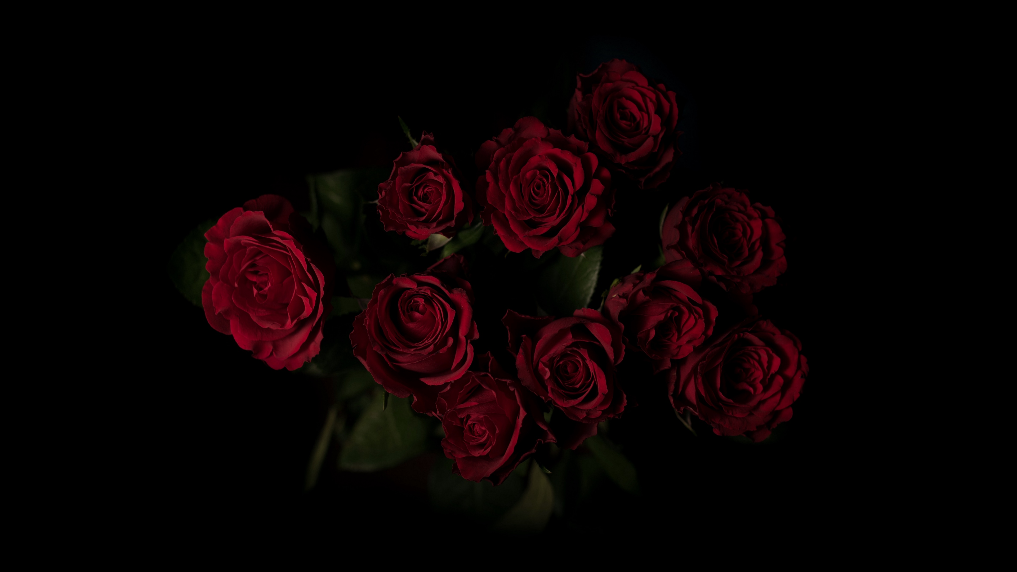 Close-up of a bouquet of dark red roses against a pure black background, creating a dramatic and romantic image