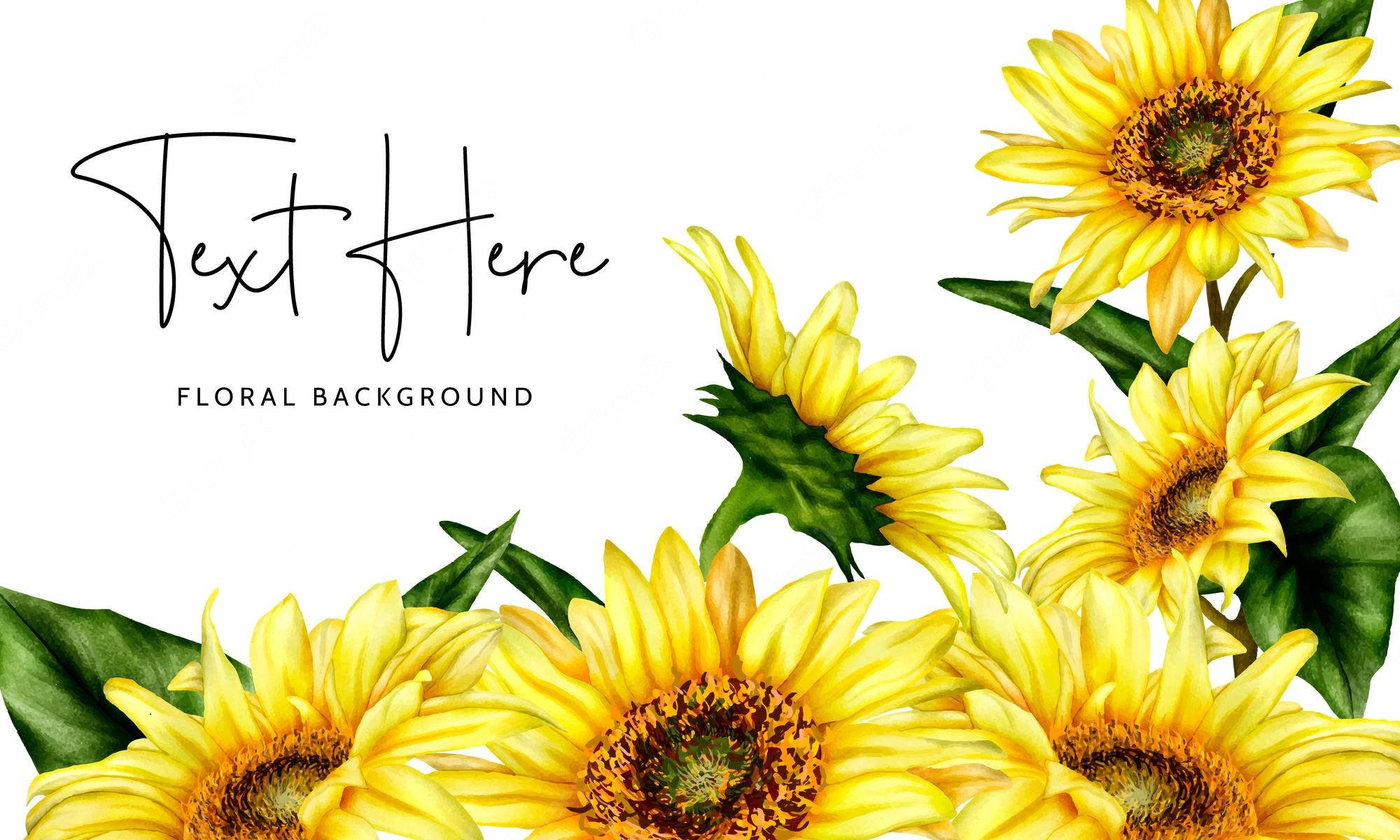 Sunflowers And Roses X Wallpaper