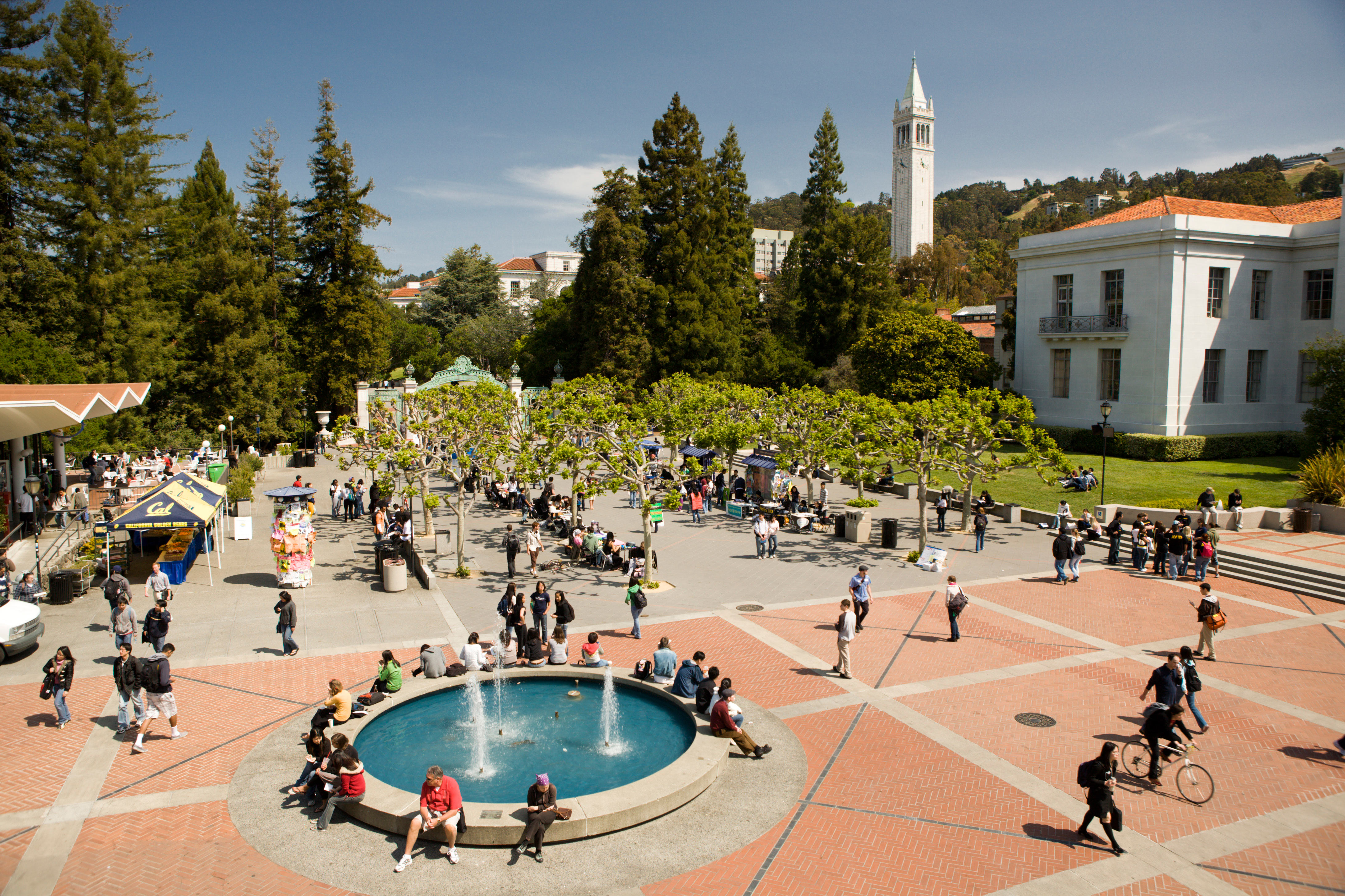 Archive Haas School Of Business University California Berkeley