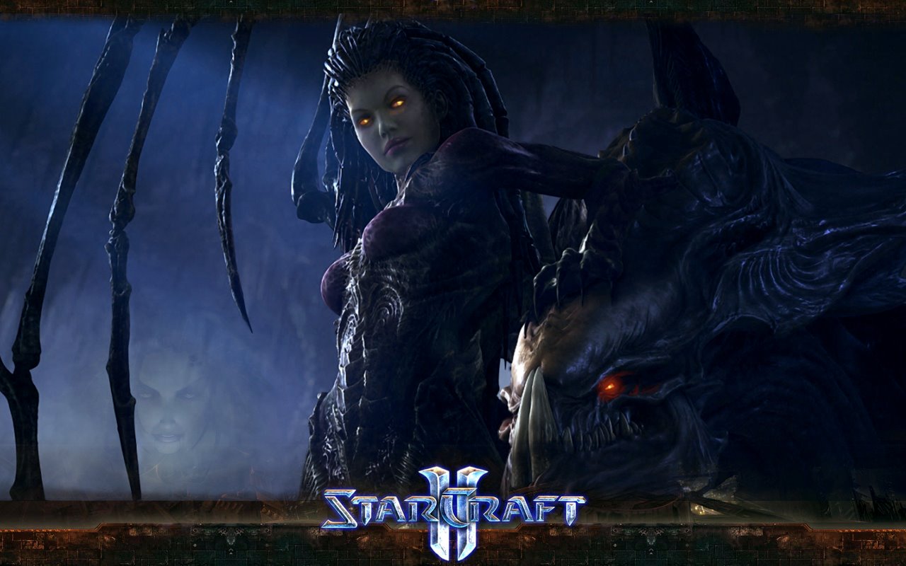 Could Not Find In The Inter Starcraft Widescreen Wallpaper