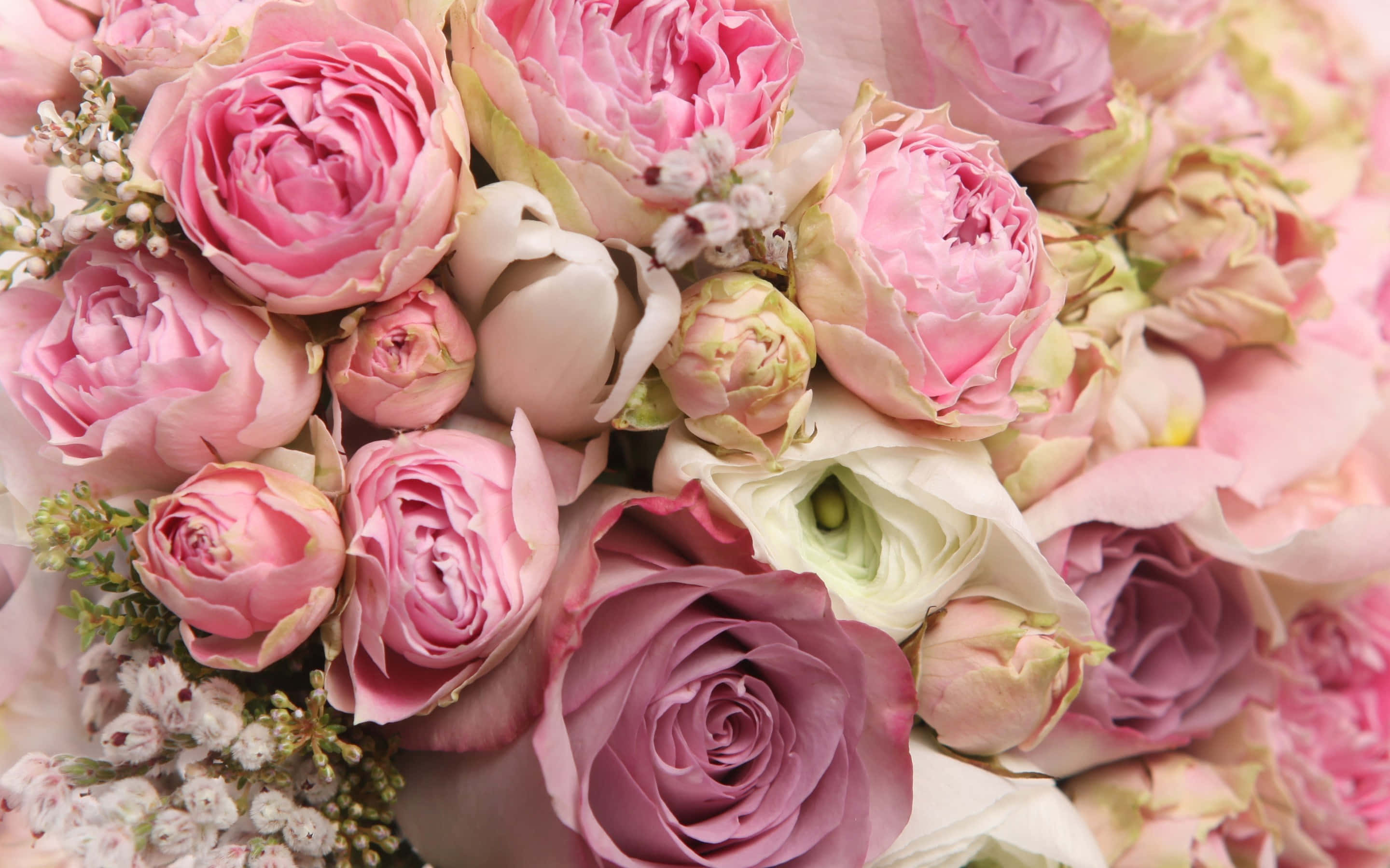 Rose Bouquet Picture Wallpaper