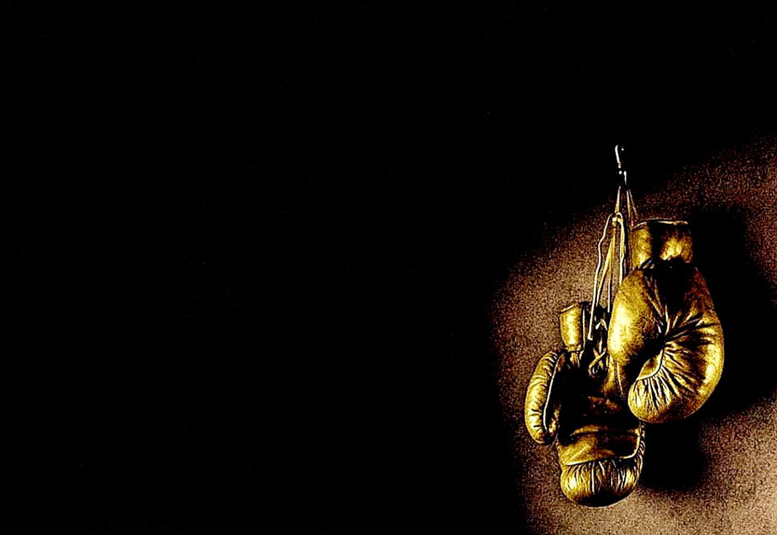 Boxing Gloves Wallpaper HD Image