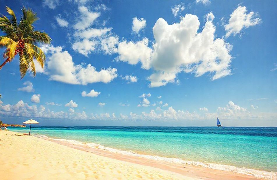 Sunny Beach Wallpaper
