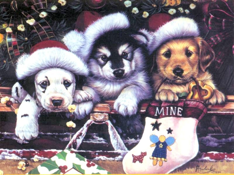 Christmas Wallpaper Puppy