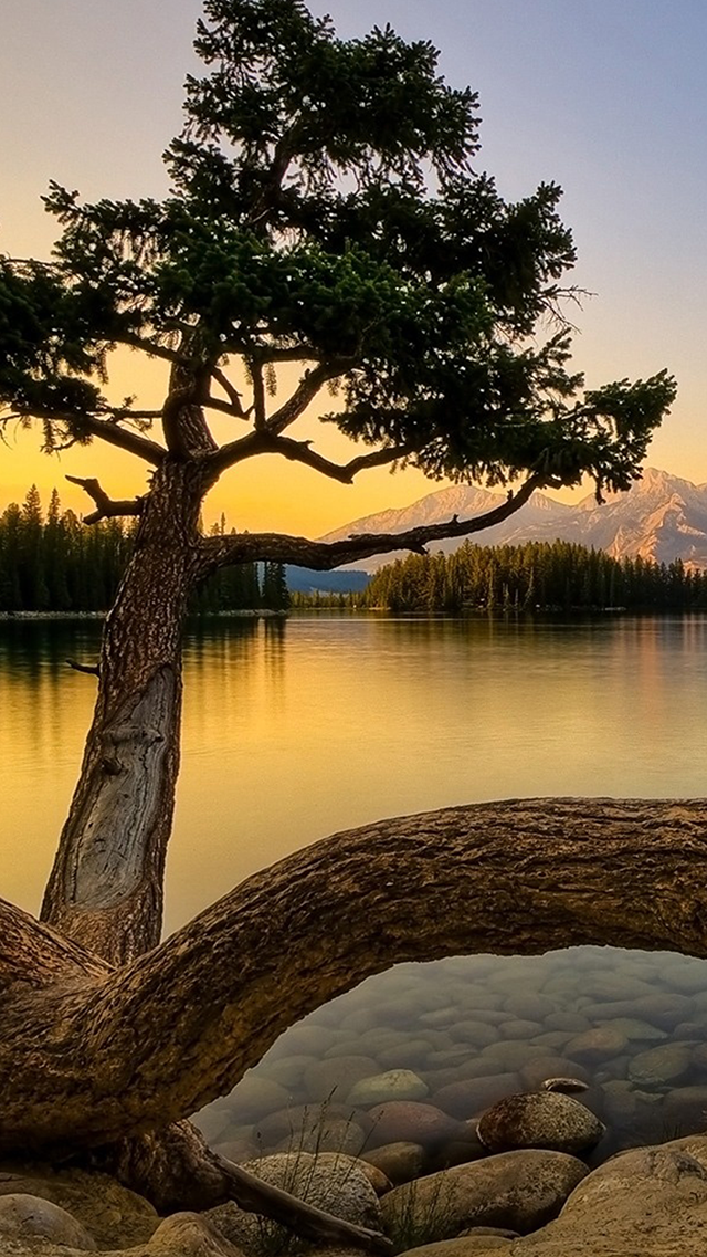 Free download Natural Beauty Wallpaper for Mobile Phones [640x1138] for