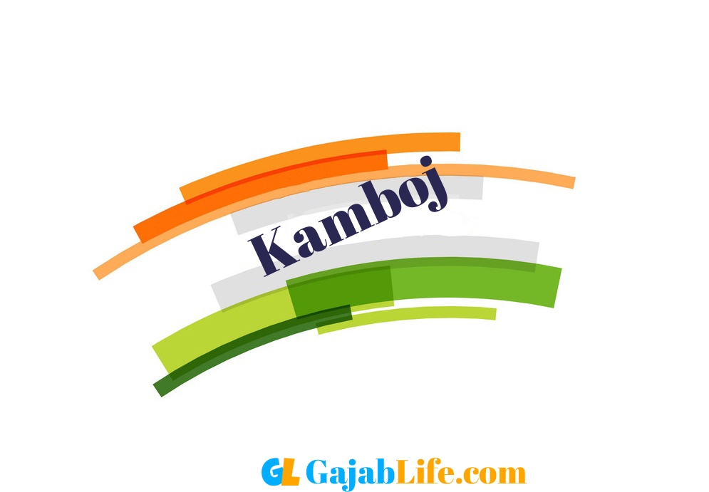 Pirakshi Kamboj - Yamunanagar, Haryana, India | Professional Profile |  LinkedIn