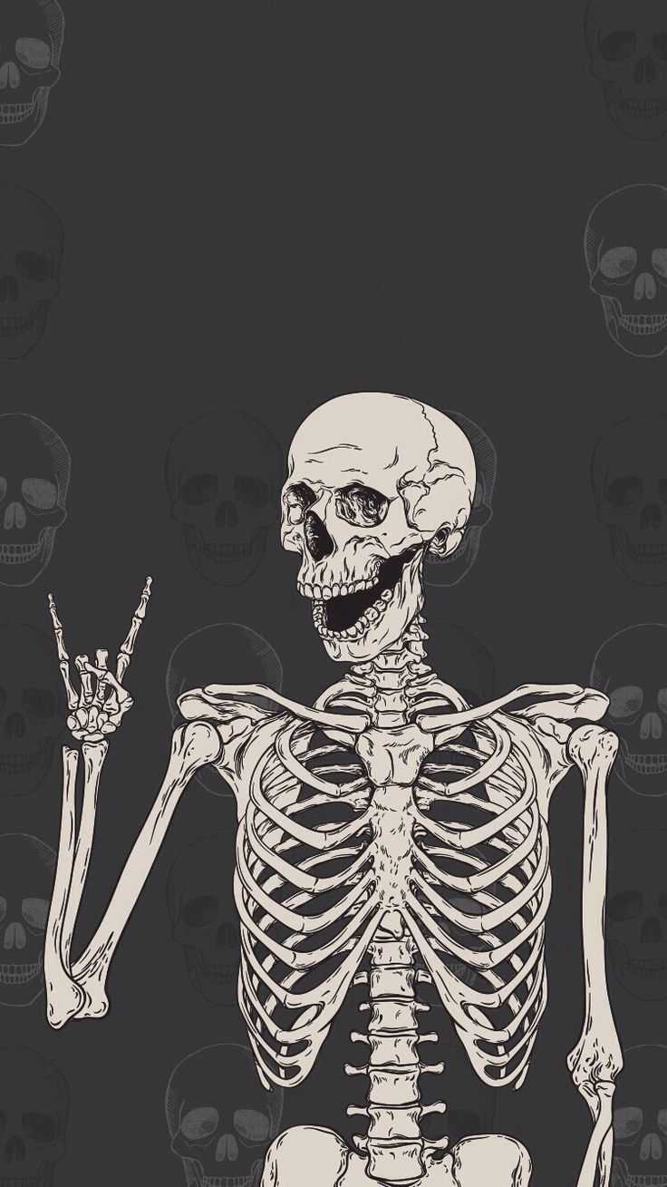 HD Skeleton Wallpaper Whatspaper