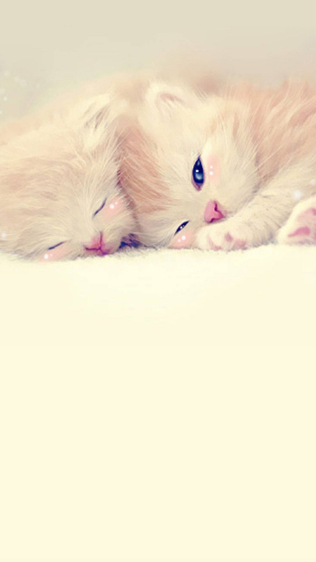 Cute Animal iPhone Wallpaper
