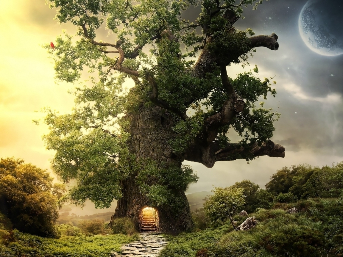 Fantasy Tree House HD Wallpaper