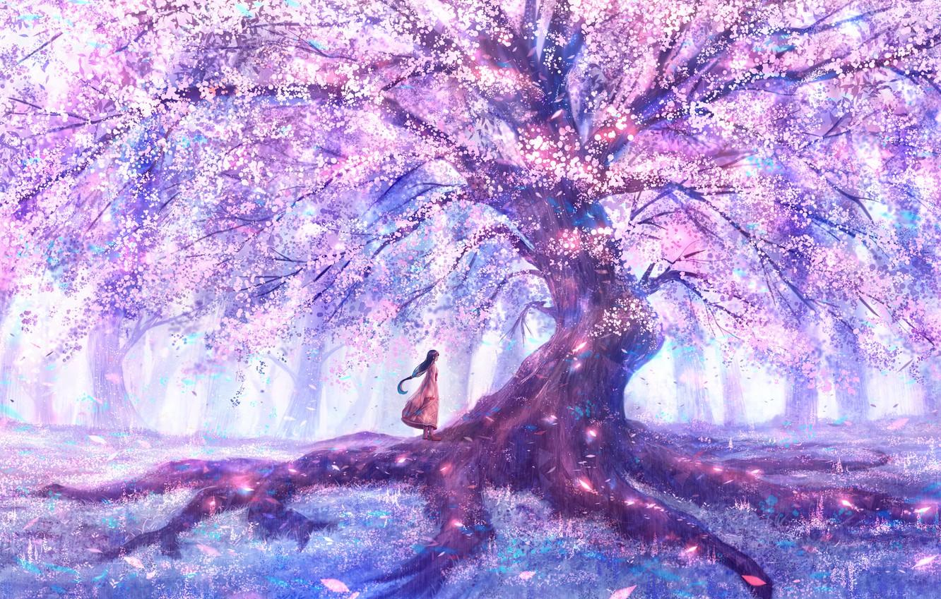 Wallpaper Girl Nature Spring Sakura Image For Desktop Section