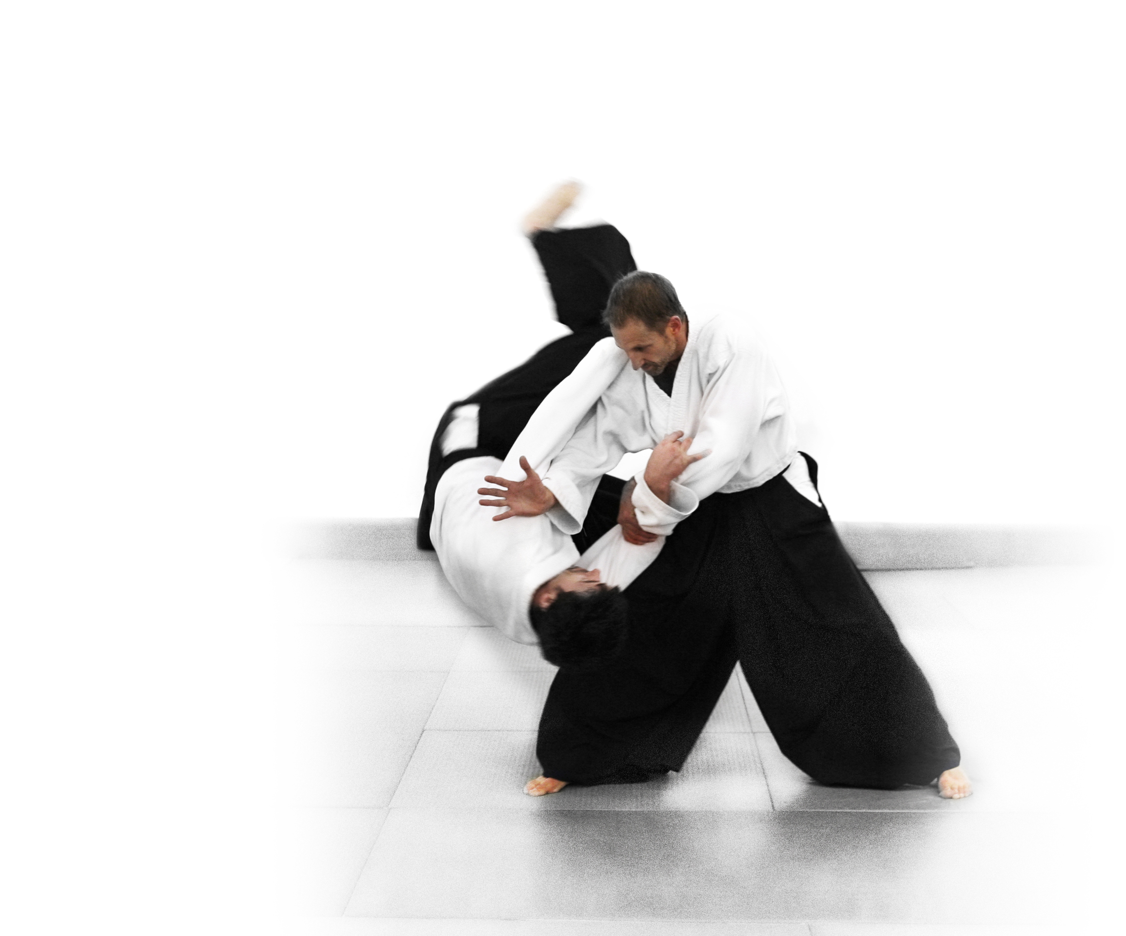 Aikido Wallpaper High Quality