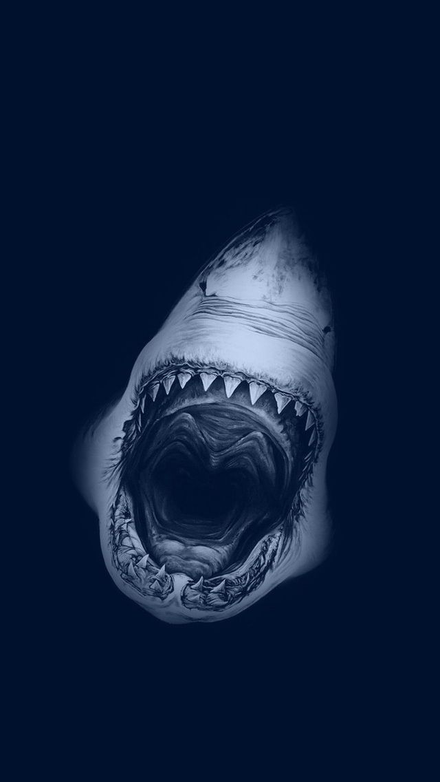 Wallpaper iPhone5 In Shark iPhone Jaws