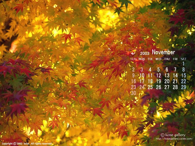 November Desktop Calendar Wallpaper