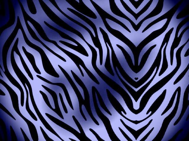 Blue Zebra Print Random Wallpaper