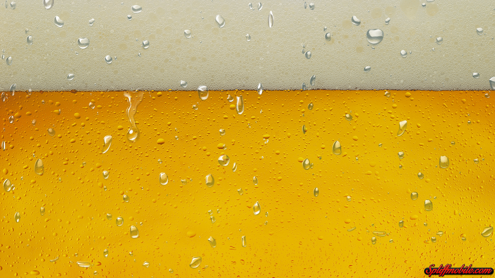 HD Cold Beer Wallpaper