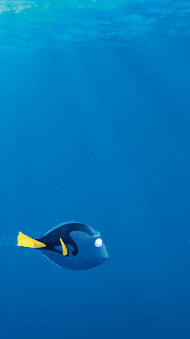 Finding Dory Wallpaper Adorable