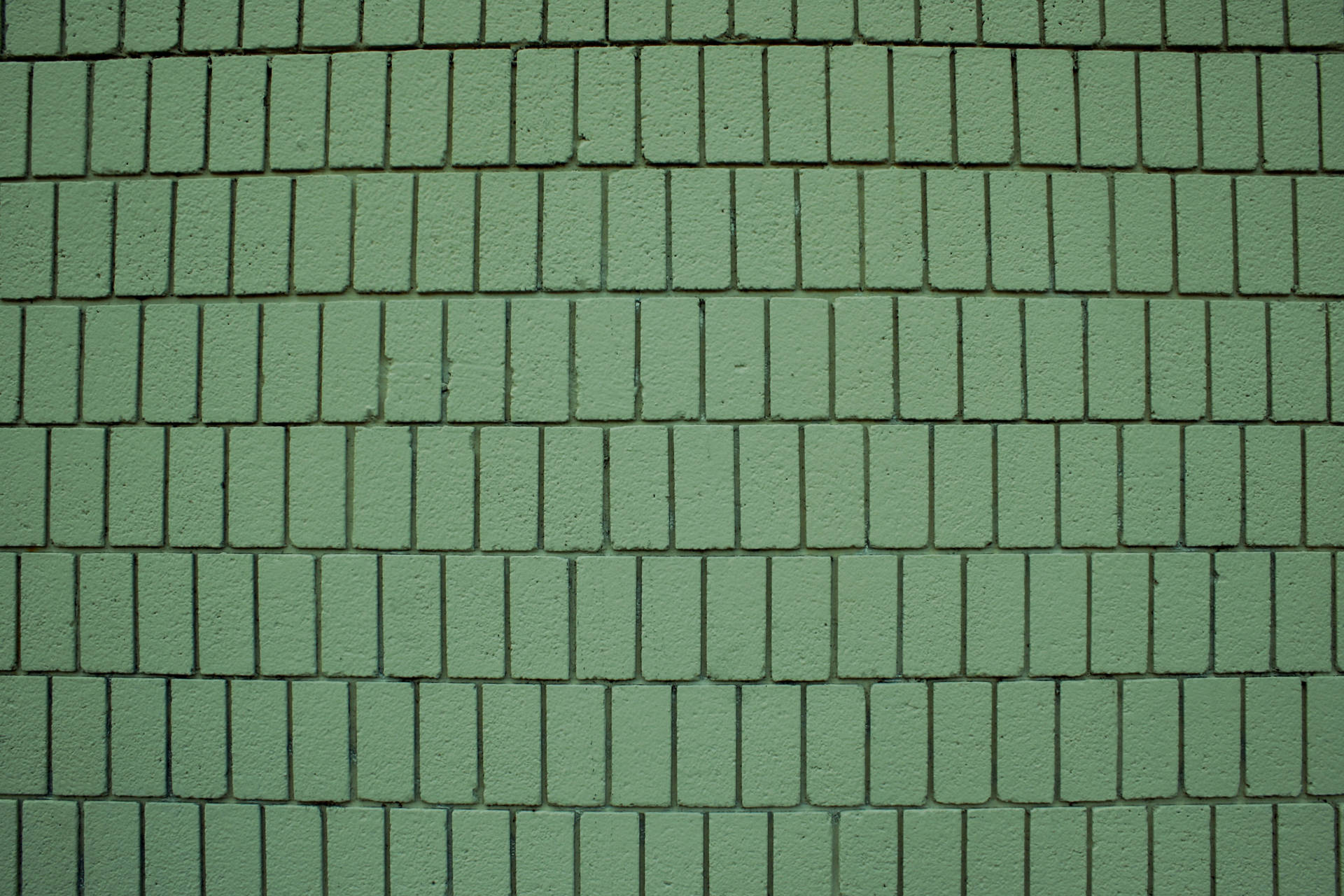 Sage Green Aesthetic Wallpaper