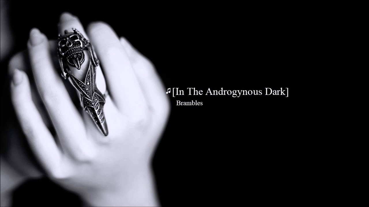 In The Androgynous Dark