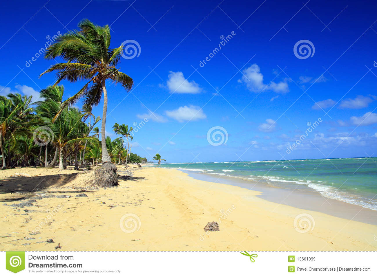 Archivo Libres De Regal As Palmas En La Playa Del Caribe Punta Cana