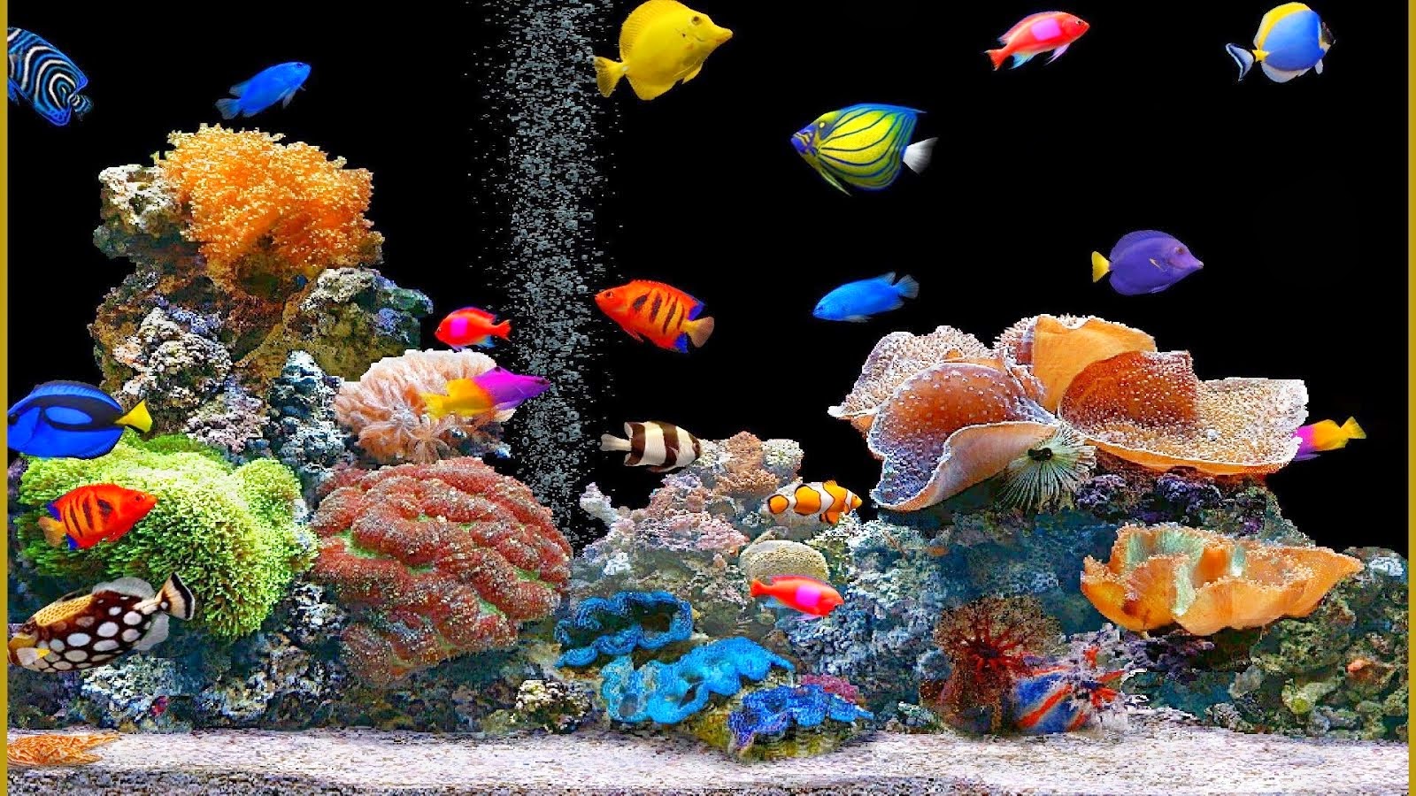 Animated Fish Tank Wallpaper