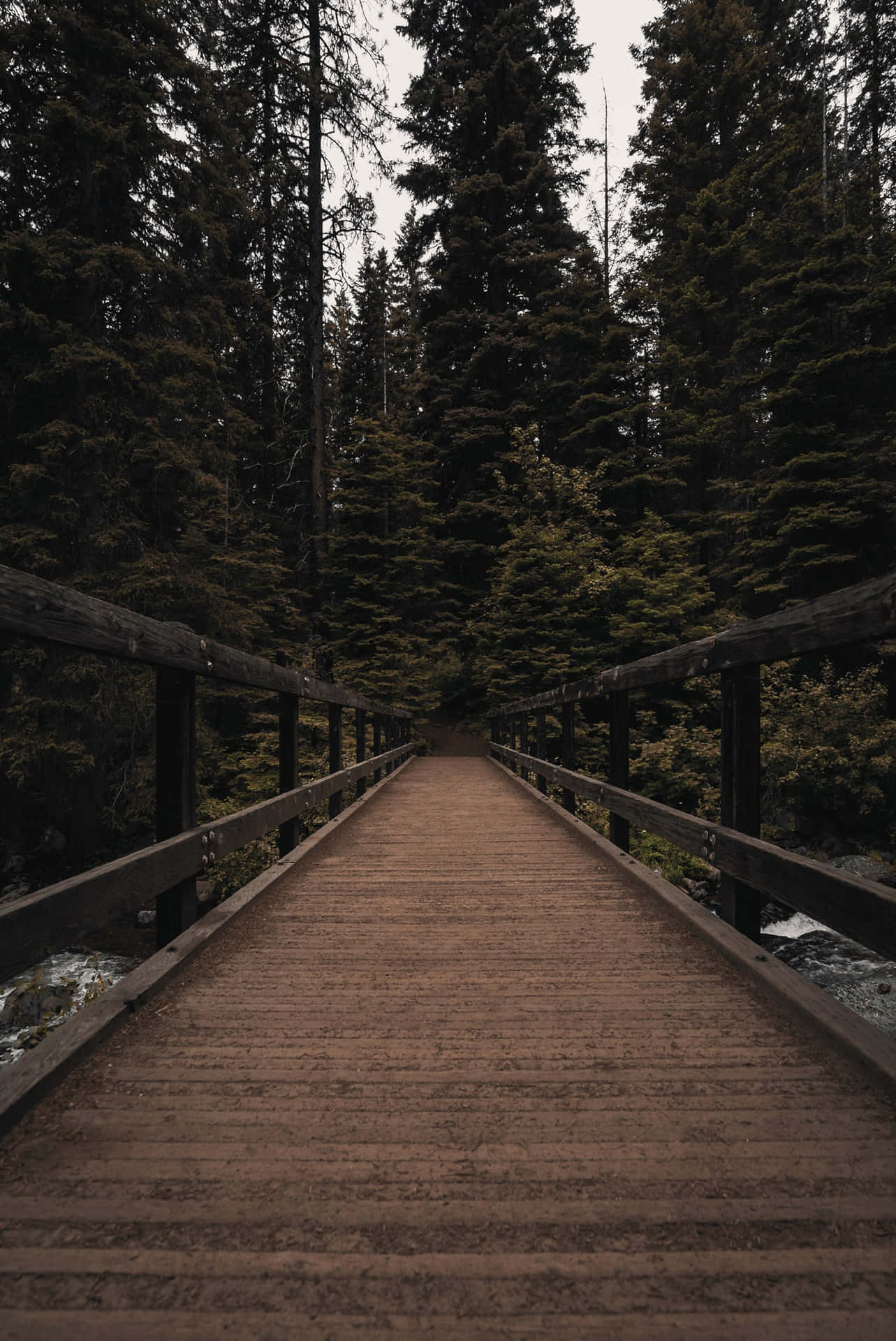 Photography iPhone Wallpaper