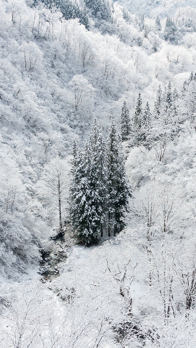 Winter White Snow Wood Forest Mountain iPhone Wallpaper