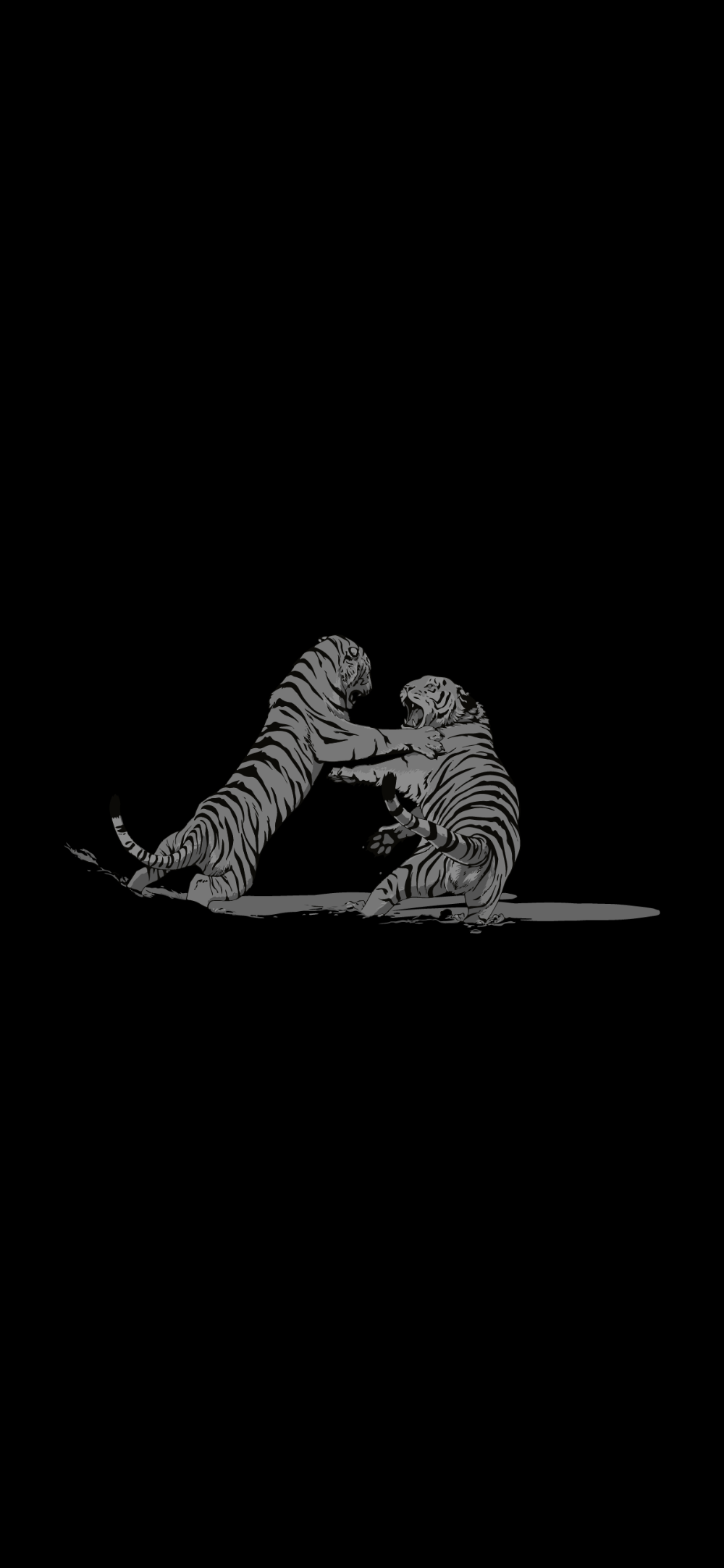 Black Amoled Wallpaper Tigers Fighting