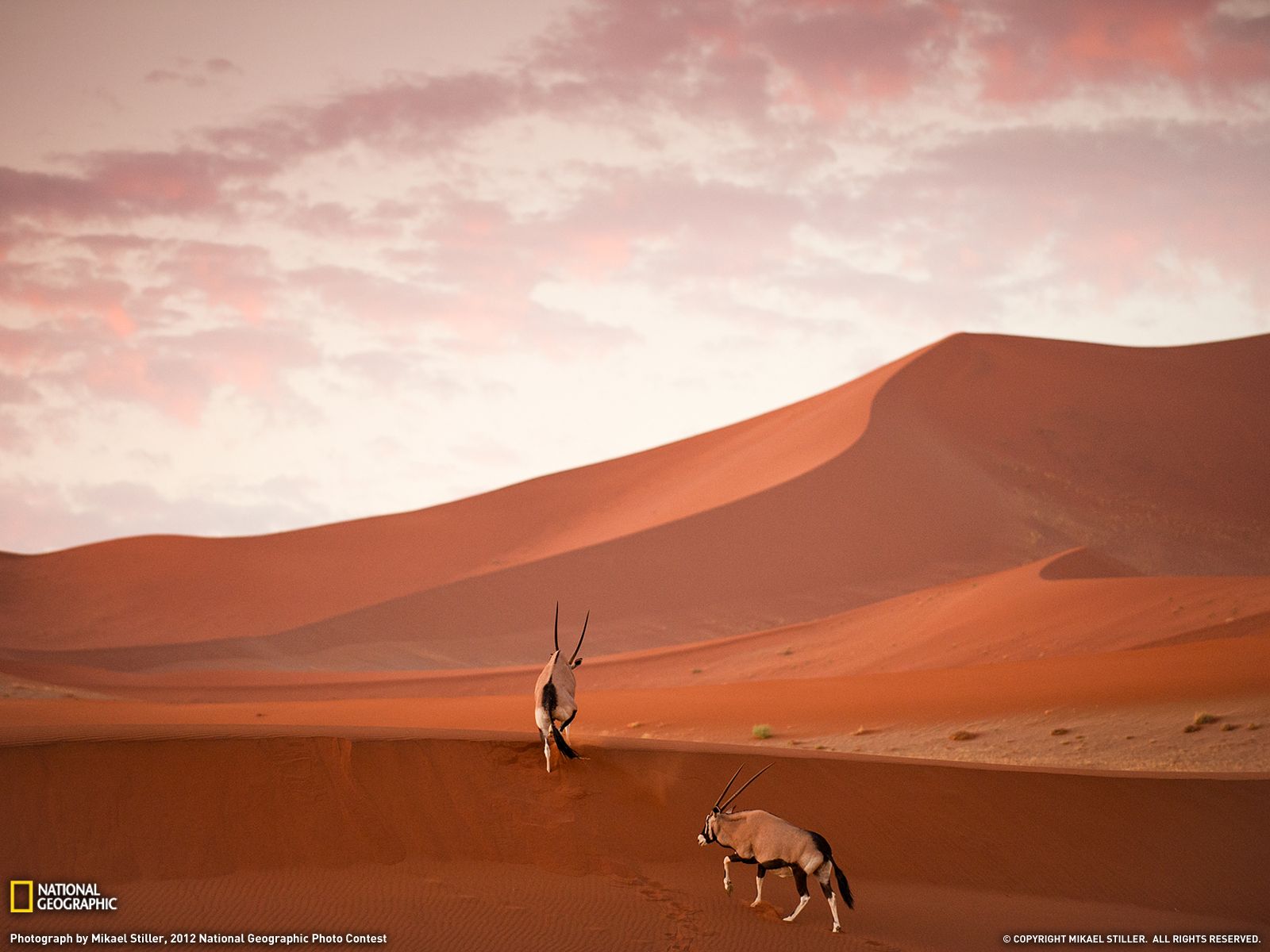 Photo Of The Day Belafrique Namibia National Geographic
